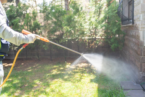 Trusted Buckhead, GA Pest control Experts